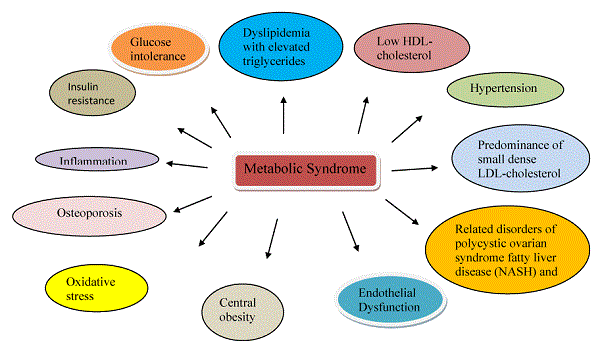 TWR Metabolic Syndrome image