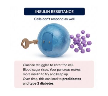 TWR Insulin Resistance 5 1 360x320